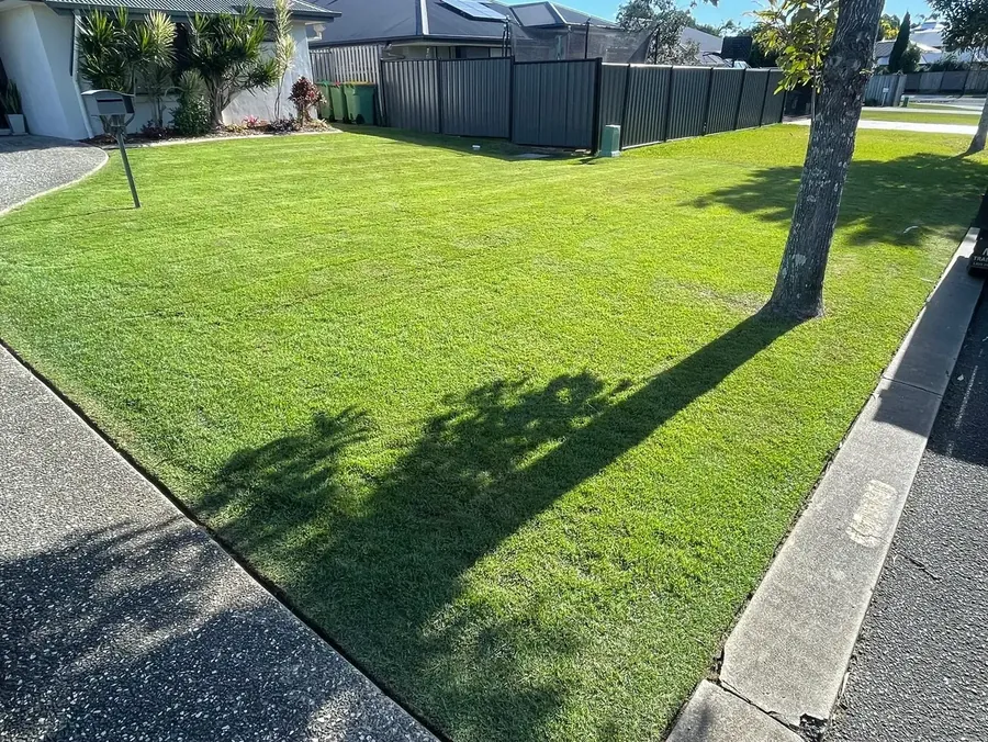 Freshly mowed front lawn with crisp edges — lawn mowing Gold Coast by Enviro Garden Care, Pimpama